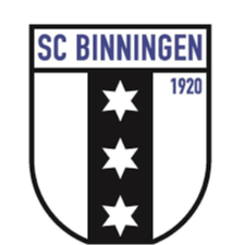 比宁根 Logo