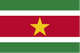 苏里南女足 Logo