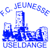于塞尔当日青年队 Logo