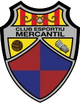 梅坎蒂尔U19 Logo