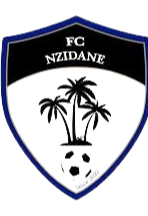 恩泽达内 Logo