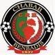 奔巴迪斯 Logo