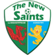 新圣徒女足 Logo