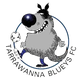塔拉瓦纳布鲁斯 Logo