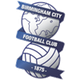 伯明翰城U18 Logo