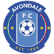 艾云达尔女足 Logo