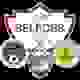 塞尔福斯哈克U19 Logo