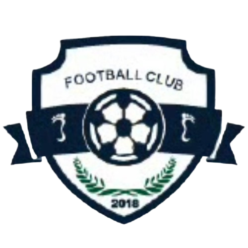 广西足行天下 Logo