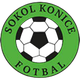 索科尔科尼斯 Logo