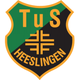 荷林根 Logo