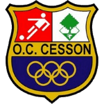 切森 Logo