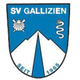 SV加利钦 Logo