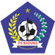 PS巴东 Logo