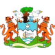 弗里敦市 Logo
