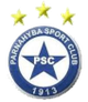 帕纳海柏PI青年队 Logo