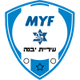 亚夫涅英 Logo