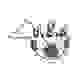 艾夫兰治斯 U19 Logo