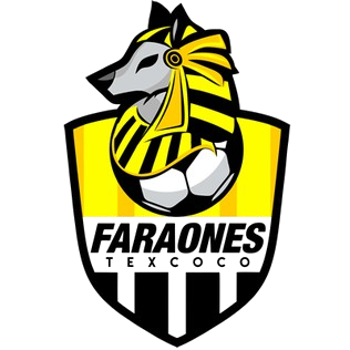 德斯科法劳内斯B队 Logo
