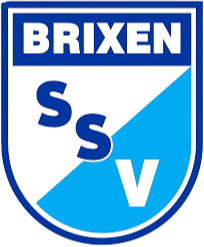布里克森 Logo