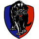 南阿德莱德后备队 Logo