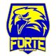 弗特青年队 Logo