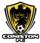 科尼斯顿 Logo