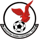 莱顿镇 Logo