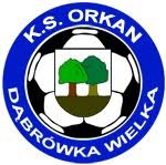 OD维尔卡 Logo