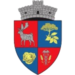 CS索科多 Logo
