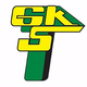 莱茨纳女足 Logo