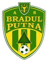 布拉杜尔普特纳 Logo