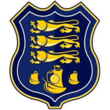 沃特福德联队女足 Logo