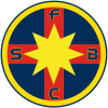 布加勒斯特星U19 Logo