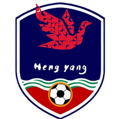 衡阳队 Logo
