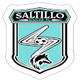 萨蒂略FC Logo
