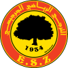 ES扎兹斯 Logo