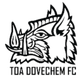 TOA多恳FC Logo