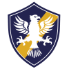 巴西复古 Logo