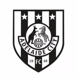 阿德莱德城后备队 Logo