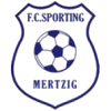 梅尔齐格 Logo