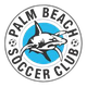 棕榈滩鲨鱼女足 Logo