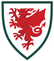 威尔士U18 Logo
