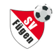 SV普贤 Logo