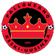 中新地女足 Logo