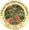西达玛布纳女足 Logo
