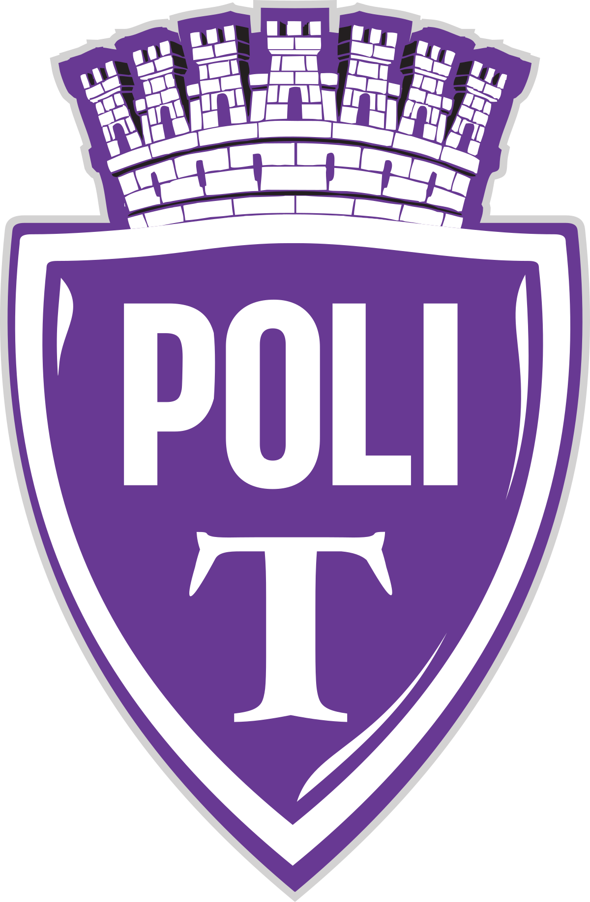 蒂米索拉 Logo