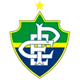 帕莱索EC女足 Logo