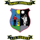 特兰特青年 Logo