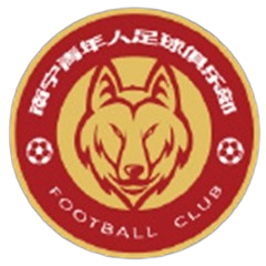 南宁青年人 Logo