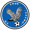 扎布科维斯 Logo